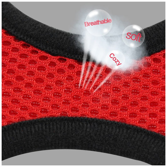 cat & dog rope for cani-hiking