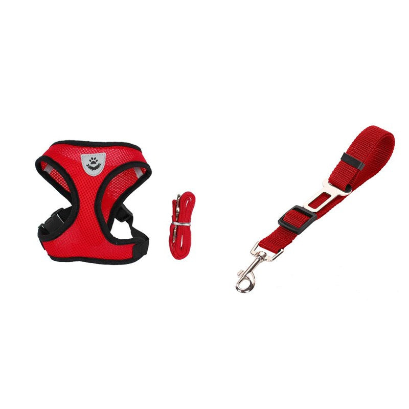 cat & dog rope for cani-hiking
