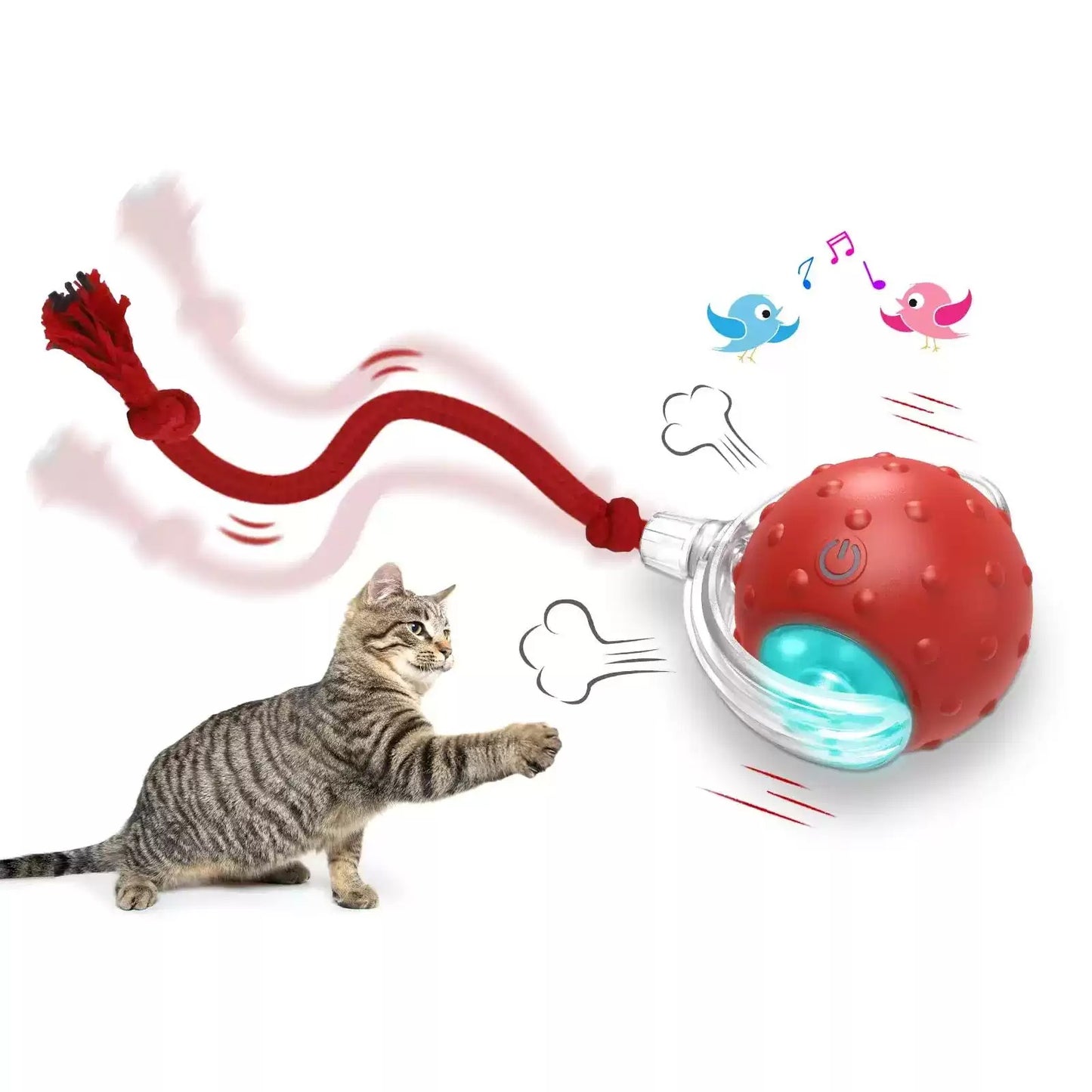 Interactive Cat Toy Ball Super Drive Cat Rolling Balls With Rope