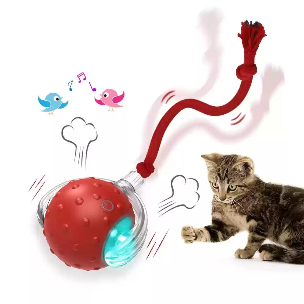 Interactive Cat Toy Ball Super Drive Cat Rolling Balls With Rope