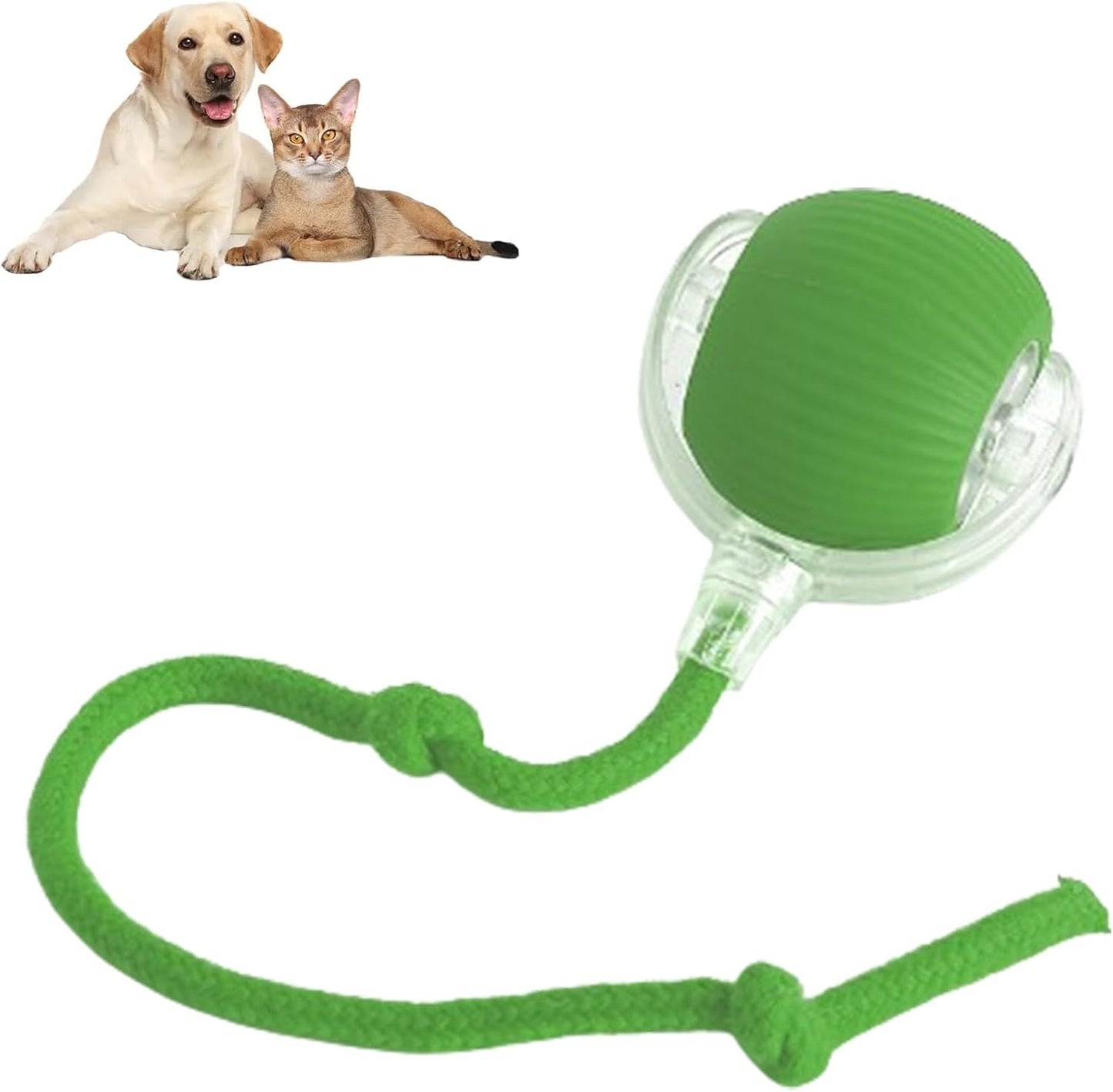 Rolling Ball  For Dogs And Cats Doggie Ball Interactive Dog Smart Ball Toy Interactive Cat Ball Toy 360  Smart Automatic Rolling Pet Ball